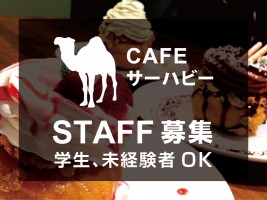 STAFF募集